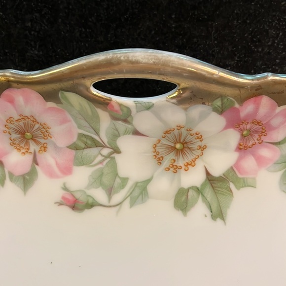 Gorgeous decorative plate by Porzellanfabrik Moschendorf Bavaria - Picture 2 of 12